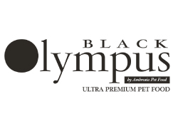 BLACK OLYMPUS